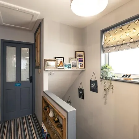 Number 19 ריפון