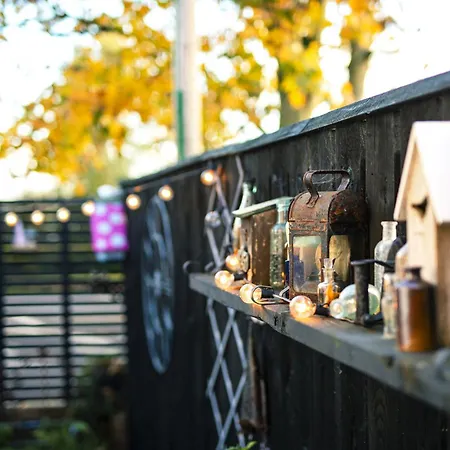 Number 19 * ריפון